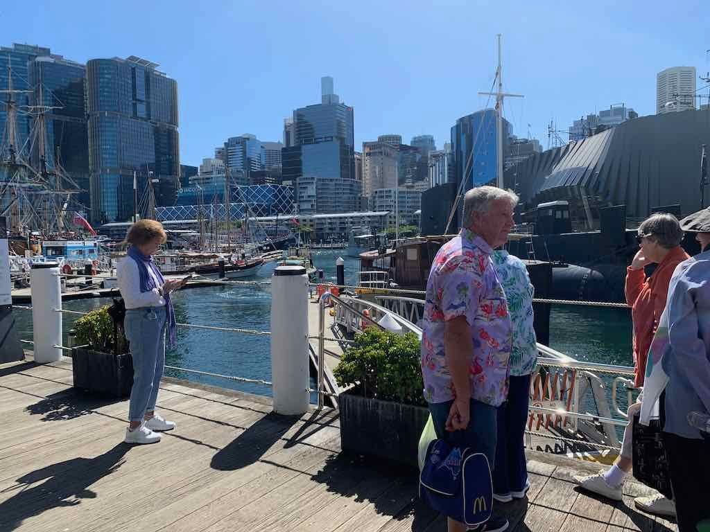 October 2022 Jacaranda Cruise Image -6361c87464a2a